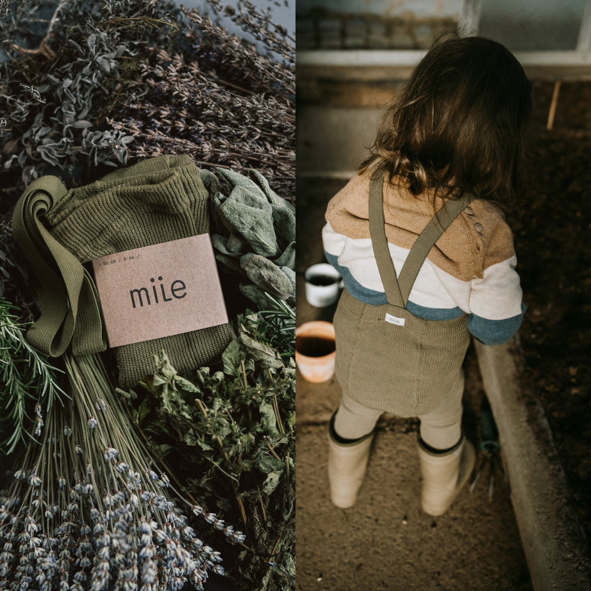 BLOG - fotka v článku - 2025-09-16T113926.417